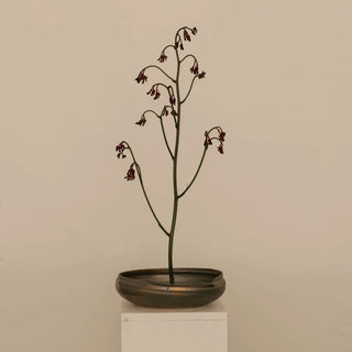 Bronze Vessel 06