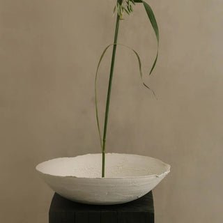 Crawl Vessel 05
