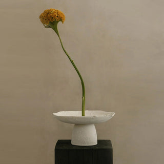 Crawl Vessel 01